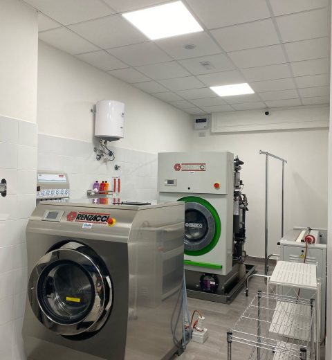 WhatsApp Image 2025-04-01 at 16.18.46 WhatsApp Image 2025-04-01 at 16.18.46